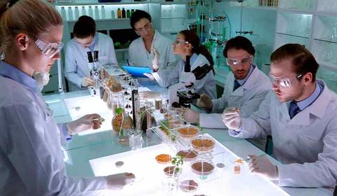 CURSOS DE INOCUIDAD ALIMENTARIA