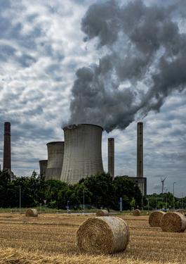 COMPENSACIÓN DE CARBONO Y REMOCIÓN DE GEI