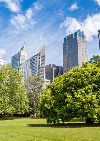 shutterstock_green_city
